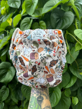 Load image into Gallery viewer, Homestead-Trainer